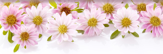 парфюмерия Chrysanthemum